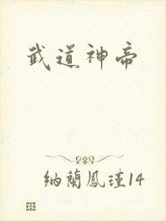 武道神帝