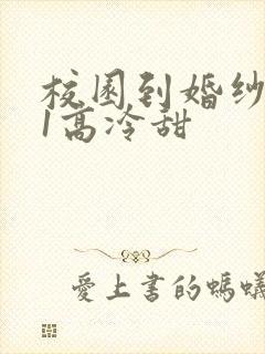 校园到婚纱1V1高冷甜