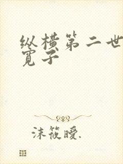 纵横第二世界 宽子