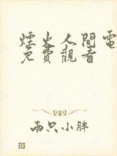 烟火人间电视剧免费观看