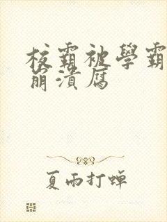 校霸被学霸玩到崩溃腐