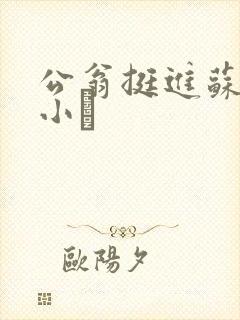 公翁挺进苏玥的小泬