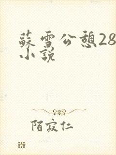 苏雪公憩28篇小说
