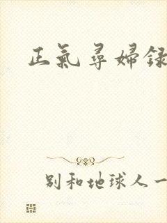 正气寻妇录
