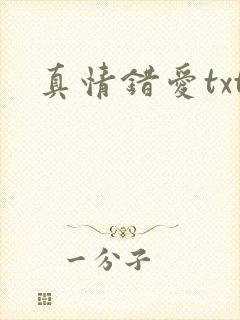 真情错爱txt