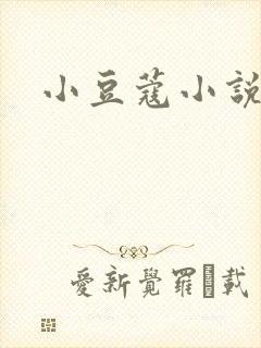 小豆蔻小说