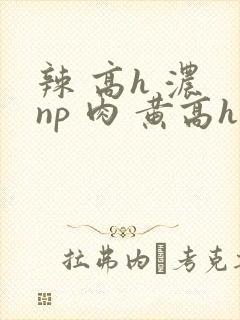 辣 高h 浓 np 肉 黄高h
