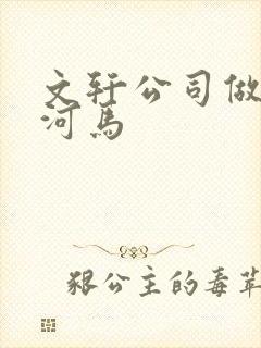 文轩公司做扩张河马