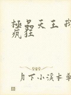 极品天王 我本疯狂