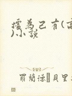 据为己有(高干)小说