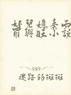 好儿媳秦雨罗明罗兴旺小说