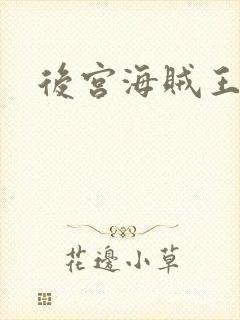 后宫海贼王