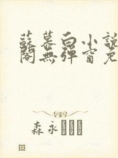 苏慕白小说笔趣阁无弹窗免费阅读