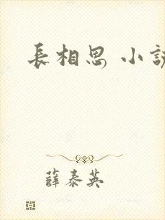 长相思 小说