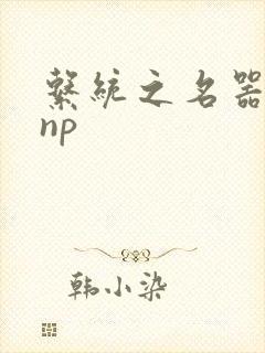 系统之名器攻略np