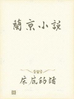 兰京小说