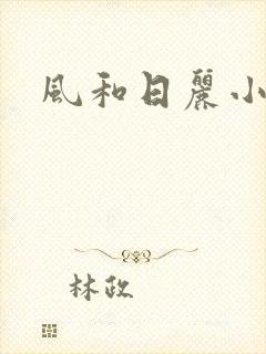 风和日丽小说