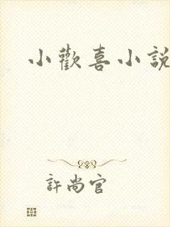 小欢喜小说