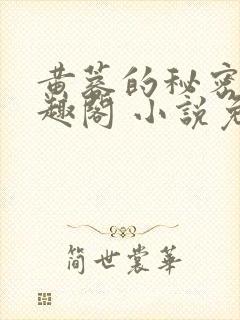 黄蓉的秘密 笔趣阁 小说免费阅读下载