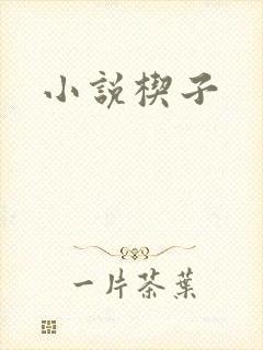 小说楔子