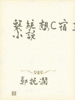 系统想C宿主的小说