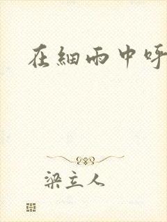 在细雨中呼喊