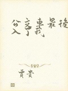 公交车最后一排入了我