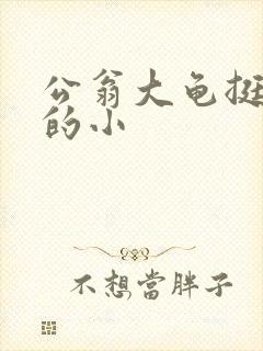 公翁大龟挺进我的小
