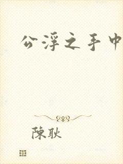 公浮之手中字5
