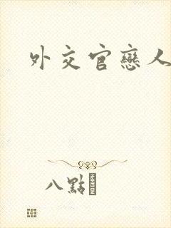 外交官恋人小说