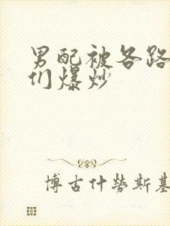 男配被各路大佬们爆炒