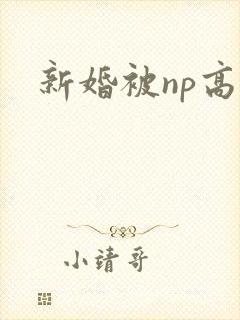 新婚被np高h
