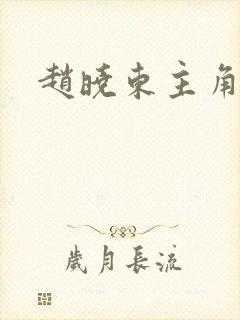 赵晓东主角小说