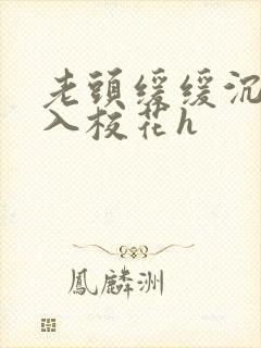 老头缓缓沉腰进入校花h