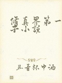 修真界第一病秧子小说