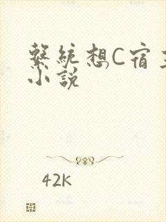 系统想C宿主的小说