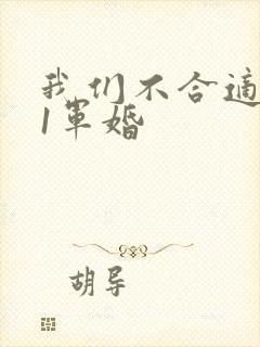 我们不合适1v1军婚
