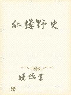 红楼野史