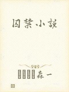 囚禁小说