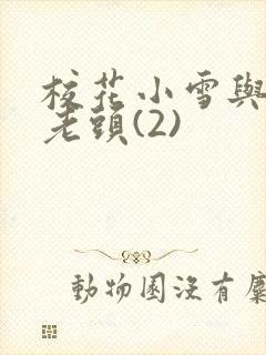 校花小雪与门卫老头(2)