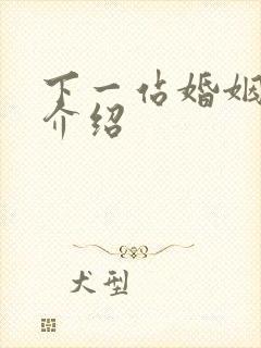 下一站婚姻剧情介绍