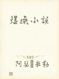 爆操小说