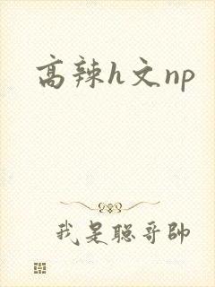 高辣h文np