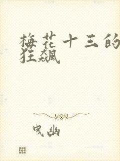 梅花十三的乳液狂飙