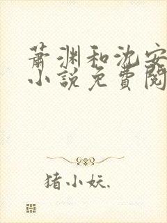 萧渊和沈安安的小说免费阅读