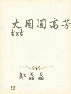 大团圆高芳小说txt