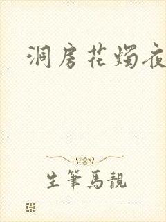 洞房花烛夜小说