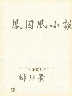 凤囚凰小说