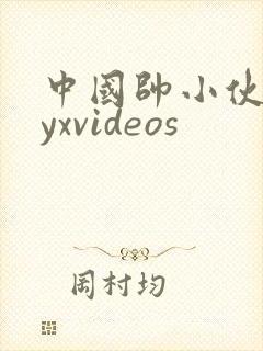 中国帅小伙gayxvideos
