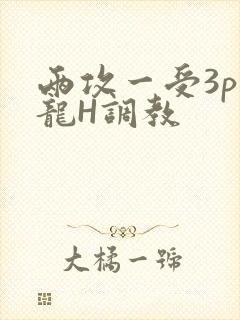 两攻一受3p双龙H调教